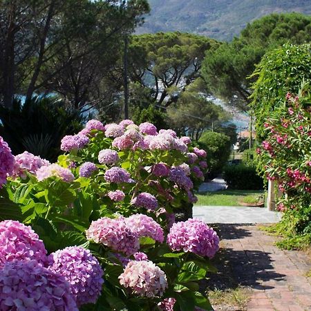 Villa Mesco Levanto Zewnętrze zdjęcie