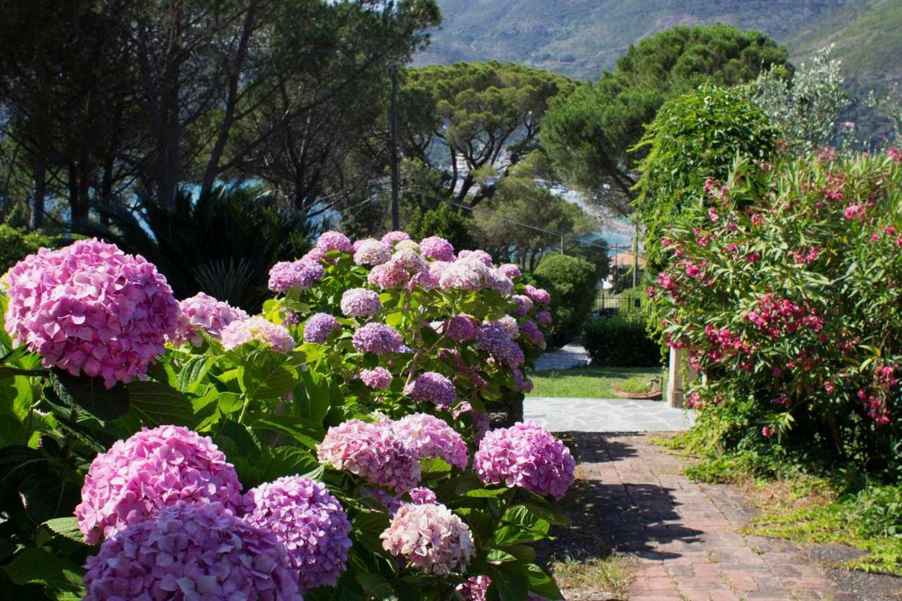 Villa Mesco Levanto Zewnętrze zdjęcie